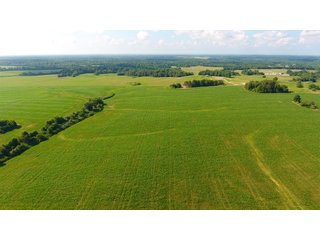 TRACT 20 - ILLINOIS LAND AUCTION - 4,810+/- ACRES OFFERED IN 85 TRACTS IN FRANKLIN, WILLIAMSON, HAMILTON & SALINE COUNTIES, ILLINOIS